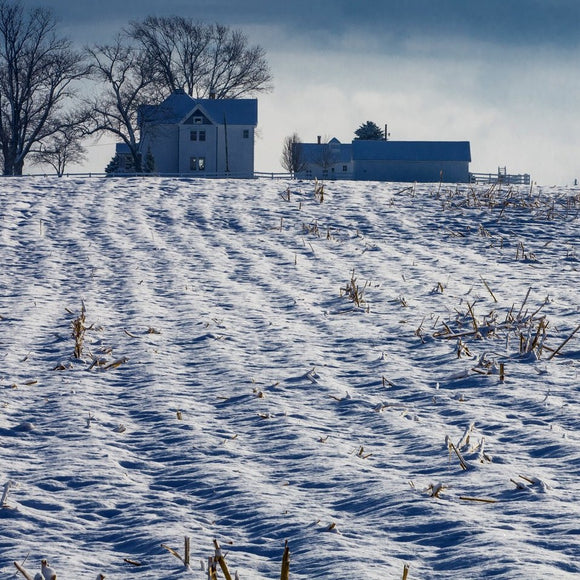 Snowy field on the farm. ©2013 Steve Ziegelmeyer
