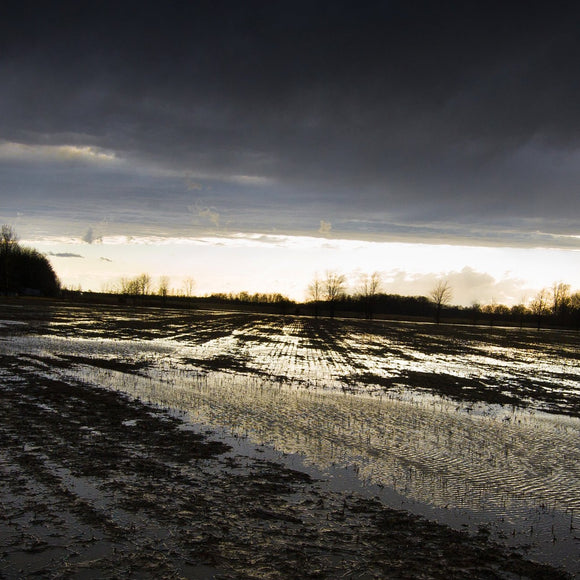 Field after the storm. ©2008 Steve Ziegelmeyer