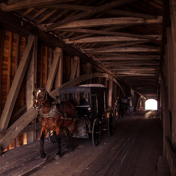 Amish buggy on Moscow covered bridge. Rush County, Indiana. ©2015 Steve Ziegelmeyer