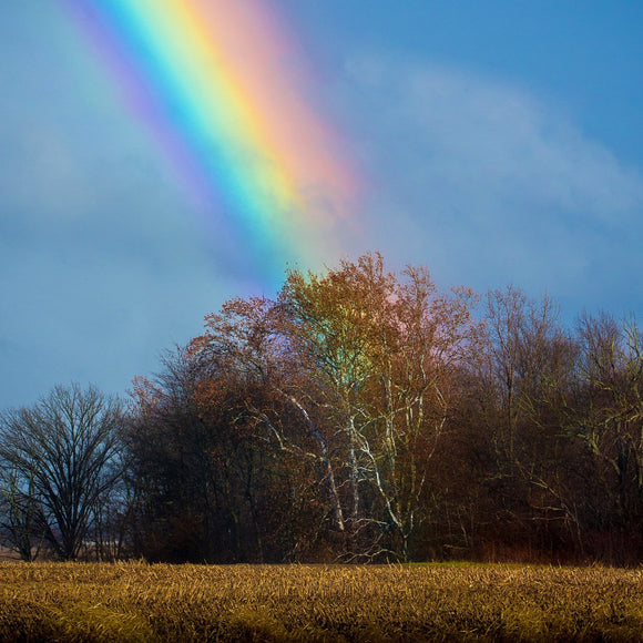 Rainbow behind trees. ©2017 Steve Ziegelmeyer