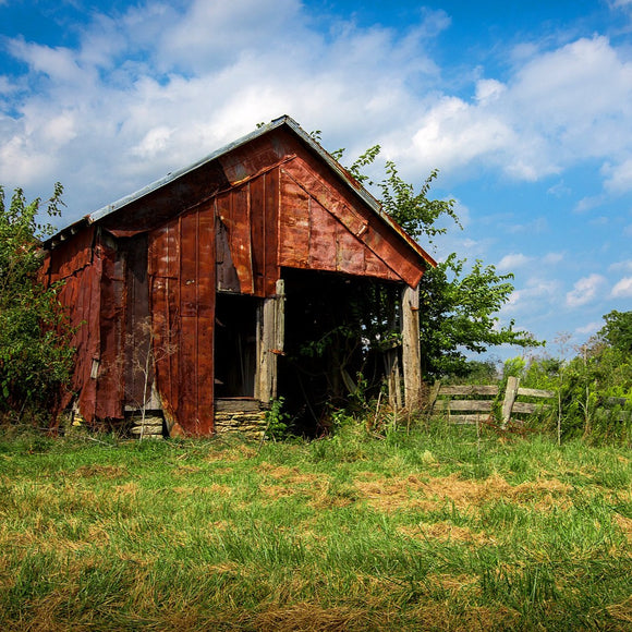 Indiana barn in the summer. ©2017 Steve Ziegelmeyer