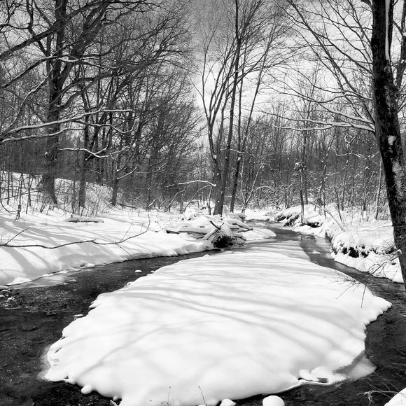 Snowy creek. ©2008 Steve Ziegelmeyer