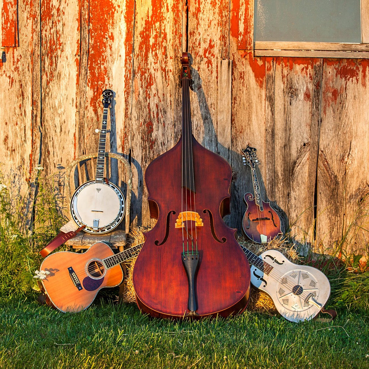 Bluegrass instruments. ©2014 Steve Ziegelmeyer, image size:1200x1200