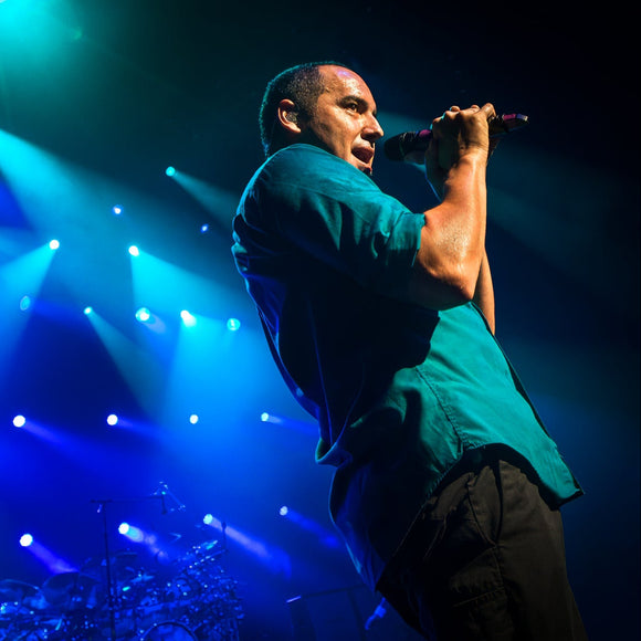311. ©2012 Steve Ziegelmeyer
