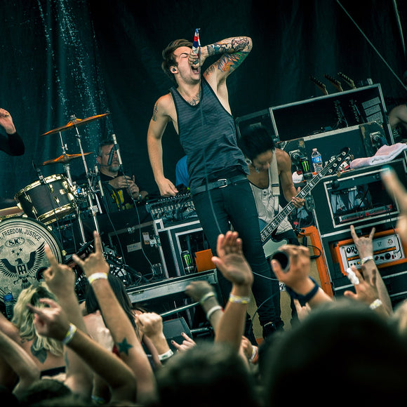 Attack! Attack! ©2012 Steve Ziegelmeyer
