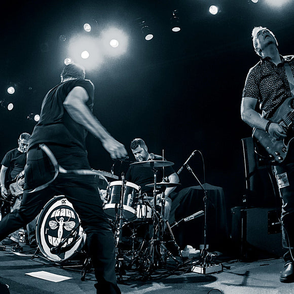Black Owls. ©2014 Steve Ziegelmeyer