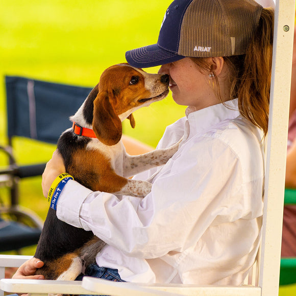 Puppy love. ©2023 Steve Ziegelmeyer