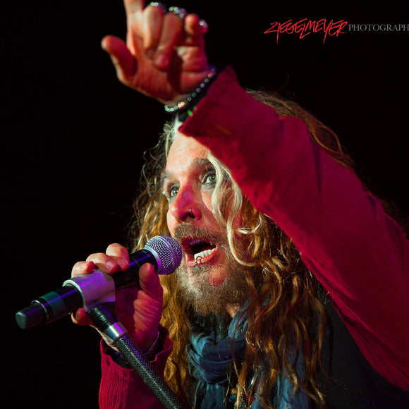 Dead Daisies. ©2016 Steve Ziegelmeyer
