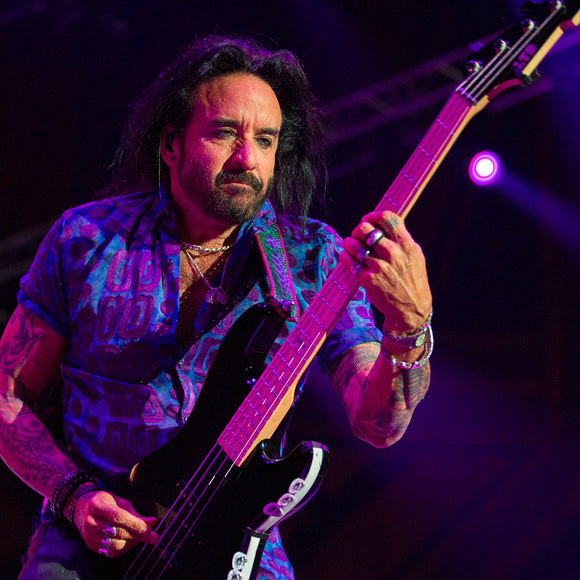 Dead Daisies. ©2016 Steve Ziegelmeyer
