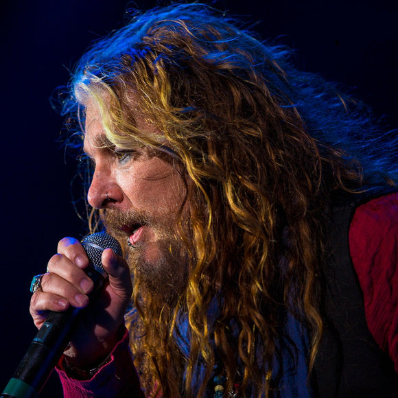 Dead Daisies. ©2016 Steve Ziegelmeyer