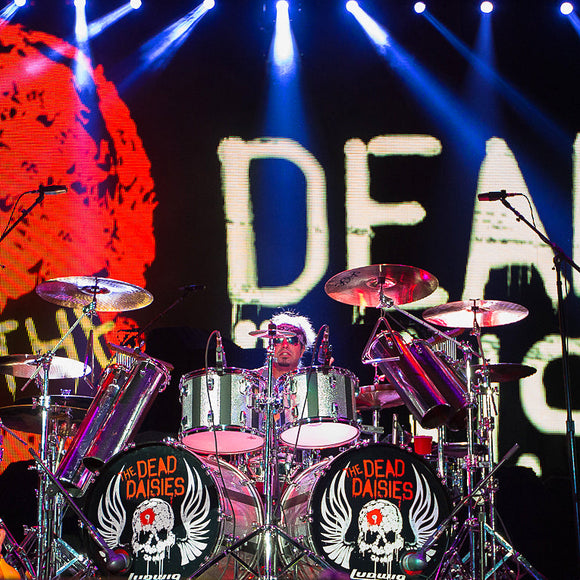 Dead Daisies. ©2016 Steve Ziegelmeyer