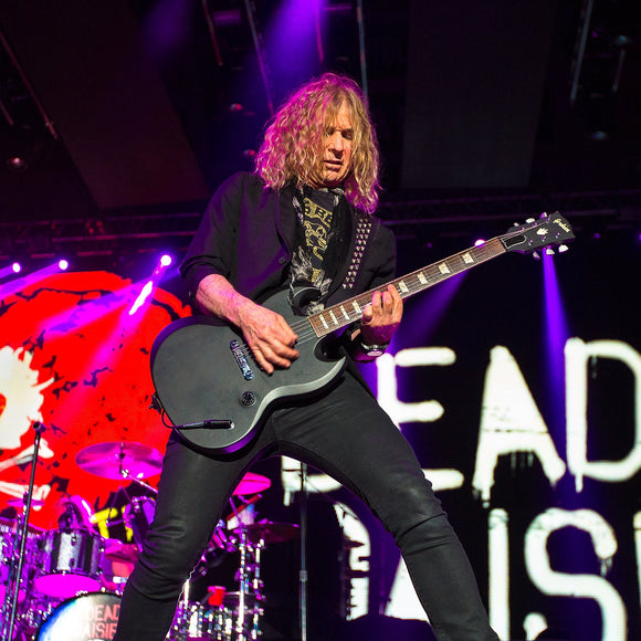 Dead Daisies. ©2016 Steve Ziegelmeyer