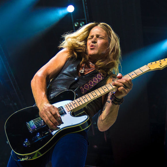 Dead Daisies. ©2016 Steve Ziegelmeyer
