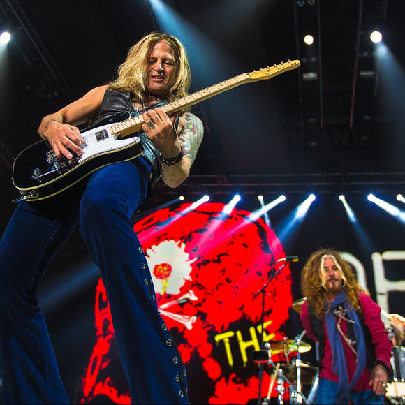 Dead Daisies. ©2016 Steve Ziegelmeyer