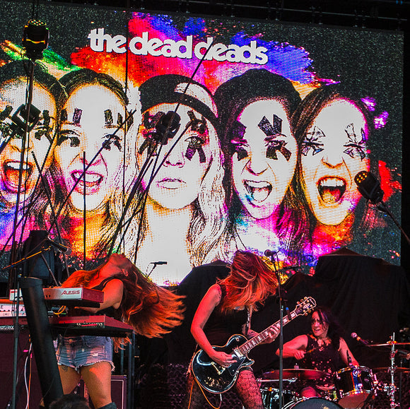 The Dead Deads. ©2016 Steve Ziegelmeyer