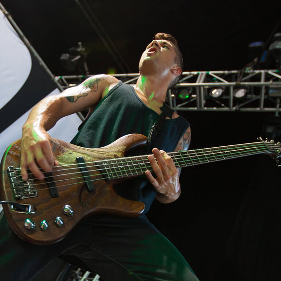 Emmure. ©2012 Steve Ziegelmeyer