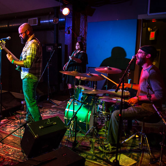 House Of Feeble Minds. ©2015 Steve Ziegelmeyer