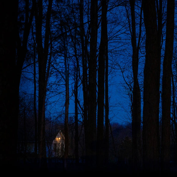 House in the woods. ©2024 Steve Ziegelmeyer