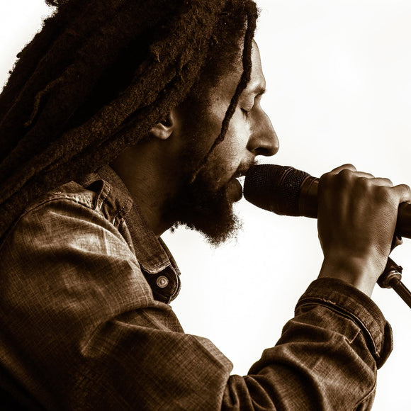 Julian Marley. ©2013 Steve Ziegelmeyer