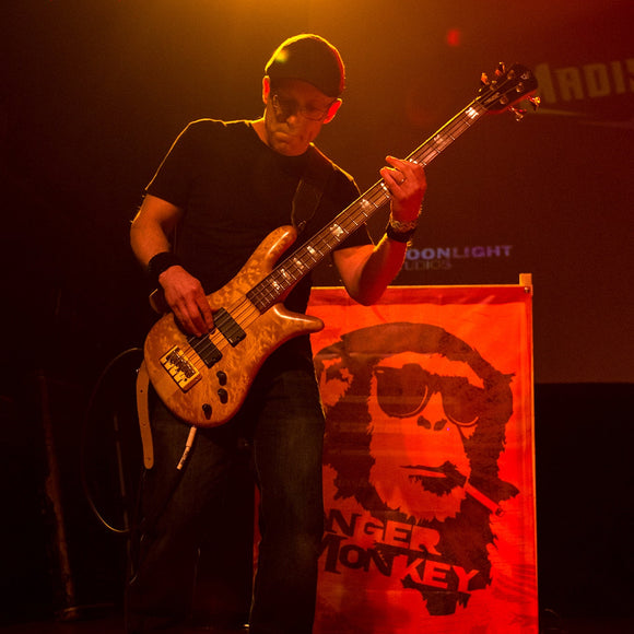 Danger Monkey. ©2016 Steve Ziegelmeyer