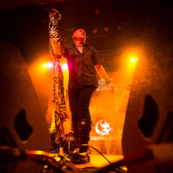 Danger Monkey. ©2016 Steve Ziegelmeyer