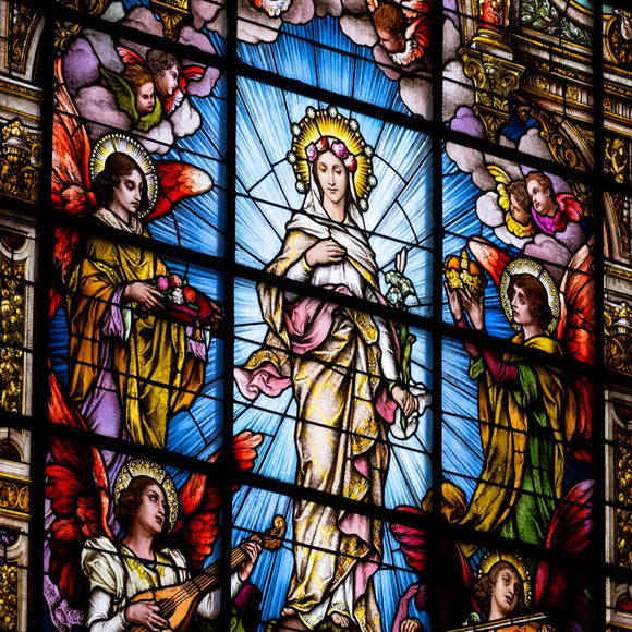 Mother Of God Catholic Church stained glass. Covington, Kentucky. ©2025 Steve Ziegelmeyer
