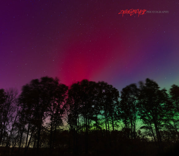 Colorful Northern Lights (Aurora Borealis) over silhouetted trees with Ziegelmeyer Photography watermark.