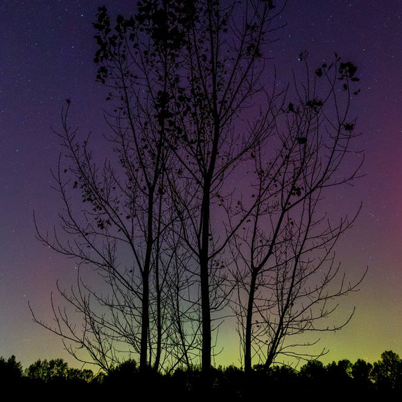 The Northern Lights. ©2024 Steve Ziegelmeyer