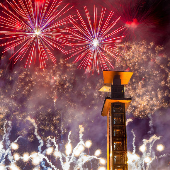 Red, White and Blue Ash. Cincinnati, Ohio. ©2023 Steve Ziegelmeyer
