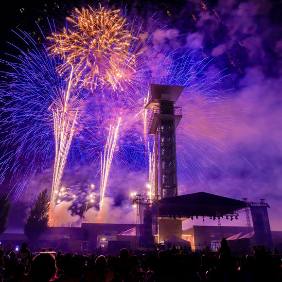 Red, White and Blue Ash. Cincinnati, Ohio. ©2025 Steve Ziegelmeyer