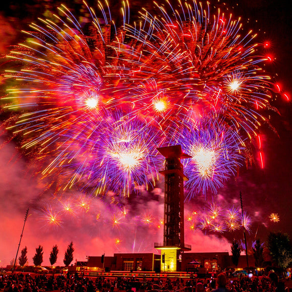 Red, White and Blue Ash. Cincinnati, Ohio. ©2021 Steve Ziegelmeyer