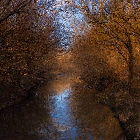 The Creek. ©2024 Steve Ziegelmeyer