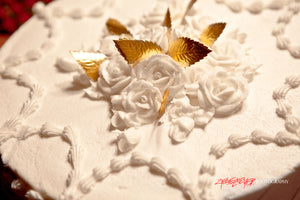 Anniversary cake. ©2009 Steve Ziegelmeyer