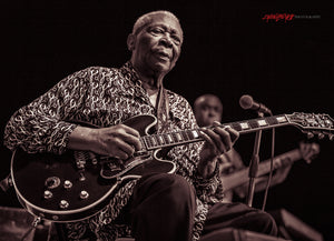 B.B. King. ©2013 Steve Ziegelmeyer