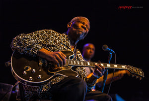 B.B. King. ©2013 Steve Ziegelmeyer