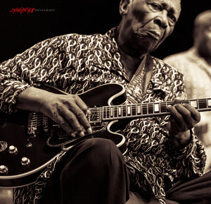 B.B. King and Lucille. ©2013 Steve Ziegelmeyer