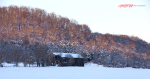 Barn in snowy field. ©2015 Steve Ziegelmeyer