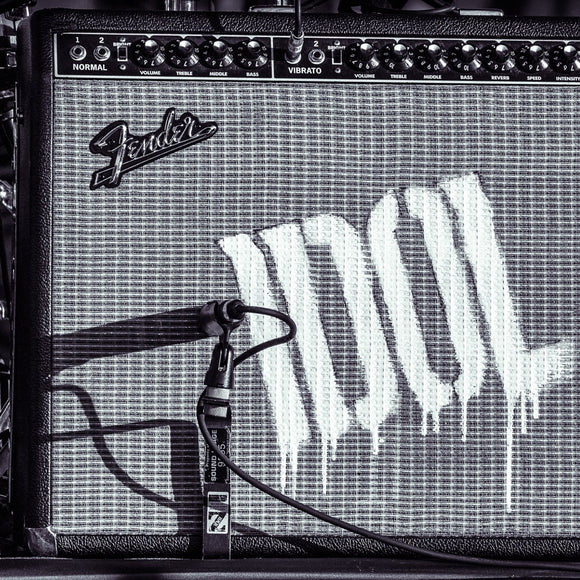 Billy Idol amp. ©2013 Steve Ziegelmeyer