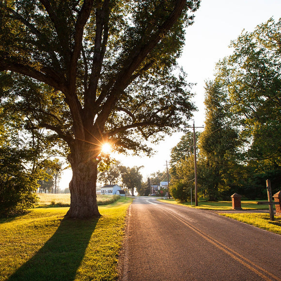 Sunset on a country road. ©2014 Steve Ziegelmeyer