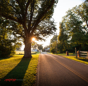 Sunset on a country road. ©2014 Steve Ziegelmeyer