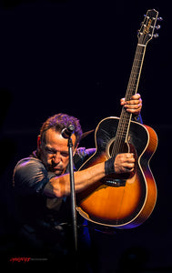 Bruce Springsteen. ©2014 Steve Ziegelmeyer