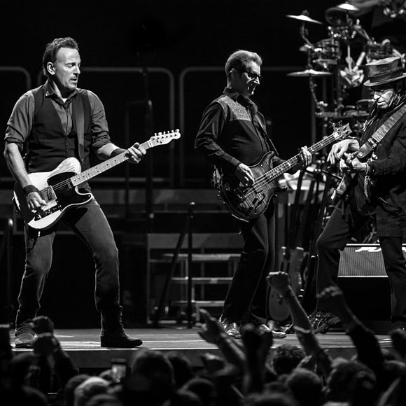 Bruce Springsteen and the E Street Band. ©2014 Steve Ziegelmeyer