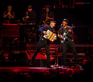 Tom Morello and Charles Giordano with Bruce Springsteen and the E Street Band. ©2014 Steve Ziegelmeyer