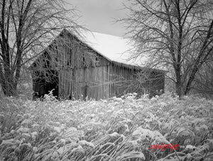 Barn in snow. Black & White. ©2009 Steve Ziegelmeyer