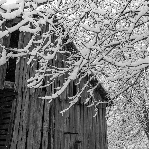 Buggy Barn in snow. Black & White. ©2014 Steve Ziegelmeyer