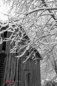 Buggy Barn in snow. Black & White. ©2014 Steve Ziegelmeyer