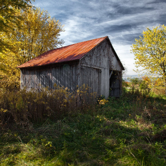 Barn in the fall. ©2009 Steve Ziegelmeyer
