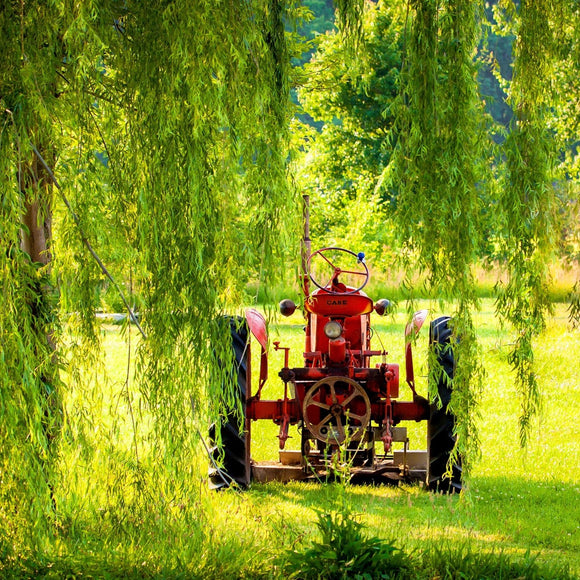 Tractor in the Willows. ©2013 Steve Ziegelmeyer
