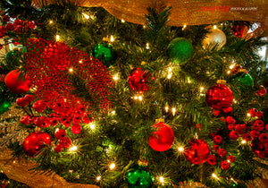 Christmas ornaments. ©2014 Steve Ziegelmeyer