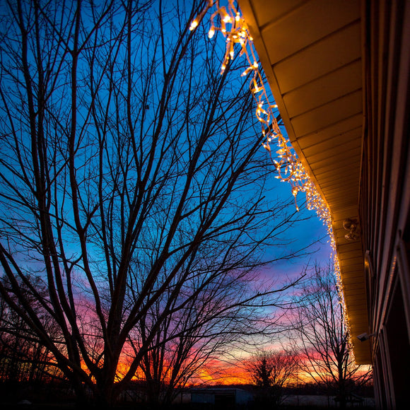 Christmas lights at sunset. ©2016 Steve Ziegelmeyer